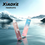 XIAOKE 梟客7500口| 大容量一次性可充電